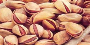 Türkiye Antepfıstığı Üretiminde Dünyada 3 Sırada