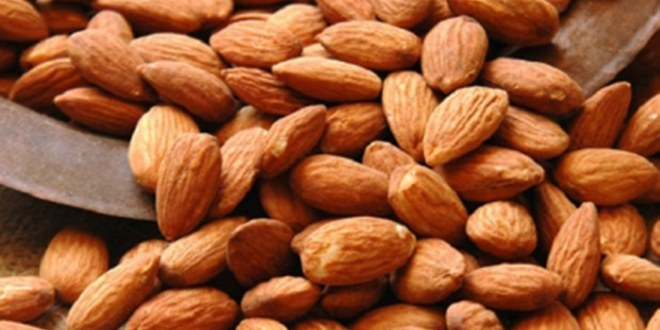 Adıyaman, Adından Bademle Söz Ettirmek İstiyor