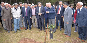 Bolu`da 200 Adet Ceviz Fidanı Dikildi