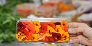 Bu Çiçekler Yenilebiliyor