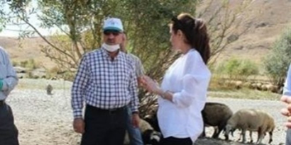 Hakkari`de Hayvan Sağlığı Taraması Yapıldı