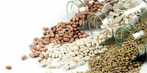 Kanserle savaşta bakliyat mucizesi