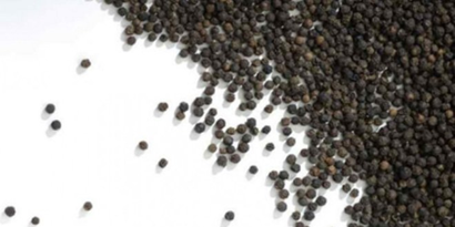 Karabibere Bayram Zammı