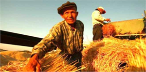 Kars`ta Organik Tarım Desteklemesi