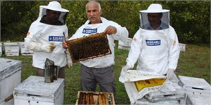 Kocaeli Büyükşehir`in Dağıttığı Arılar İlk Ürünü Verdi
