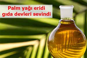 Palm yağı eridi gıda devleri sevindi