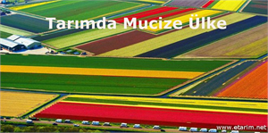 Tarımda Mucize Ülke