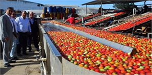 Türkiye, Salça Üretiminde Dünya Üçüncüsü