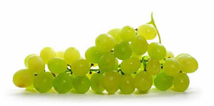 Manisa`dan Yaş Üzüm İhracatının Yüzde 70`i Rusya`ya Yapılıyor