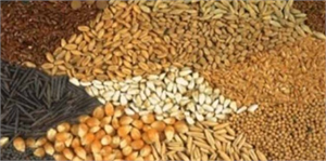 Yağlı Tohumlu Bitkiler, Hububat ve Baklagillerde Fark Ödemeleri