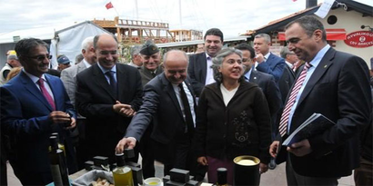 10. Ayvalık Zeytin Hasat Günleri Başladı