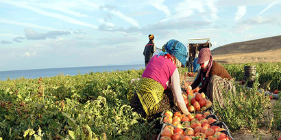 Büyükşehir`den Tarıma `BÜYÜK` Destek