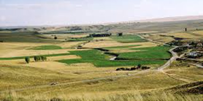 Manisa`daki Tarım Arazilerinin Yüzde 60`ı İpotekli