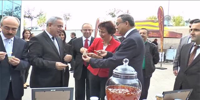 Arıcılık ve Arı Ürünleri Ar-Ge Proje Pazarı