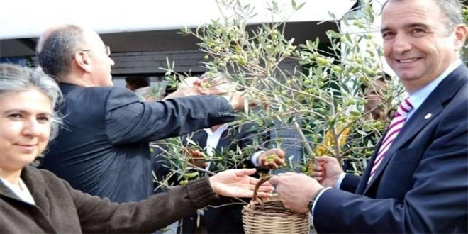 Ayvalık`ta Uluslararası Hasat Günleri