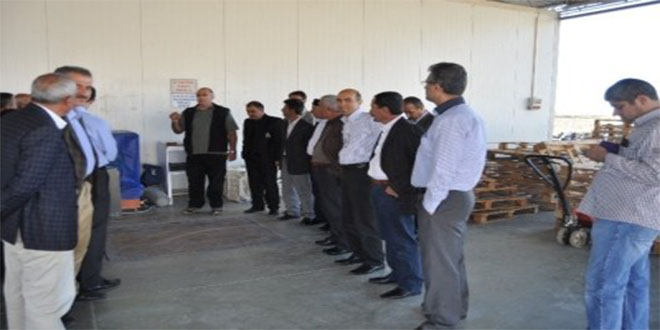 Batman`lı Çilek Üreticileri, Silifke Çileğini İnceledi