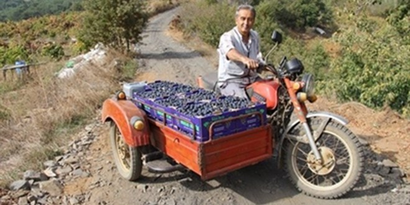 Bayındır`da Üretim Yolları Hasatı Kolaylaştırdı