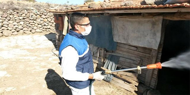 Büyükşehir `Mavidil`e Savaş Açtı