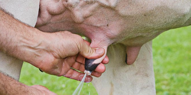 Karapınar`da Çiğ Süt Üretimi, Depolanması ve Taşınması Toplantısı