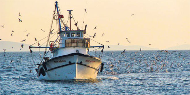 Devlet Destekledi Balıkçılık Gelişti