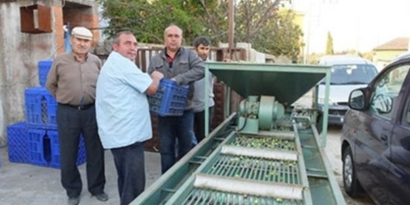 Edremit Körfezinde Zeytin Hasadına Başlandı