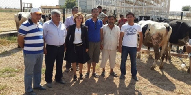 Elbeyli`de Çiftçilere Süt Sağım Makinesi Dağıtıldı