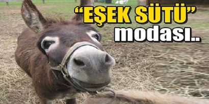 Rumlar Eşek Sütüne Merak Saldı
