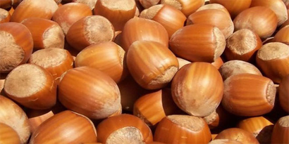 Fiyatı Artan Fındığı Bazı Firmalar Ürünlerinden Çıkardı
