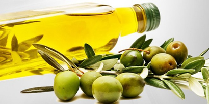 Gerze`de Zeytinyağı Üretimi