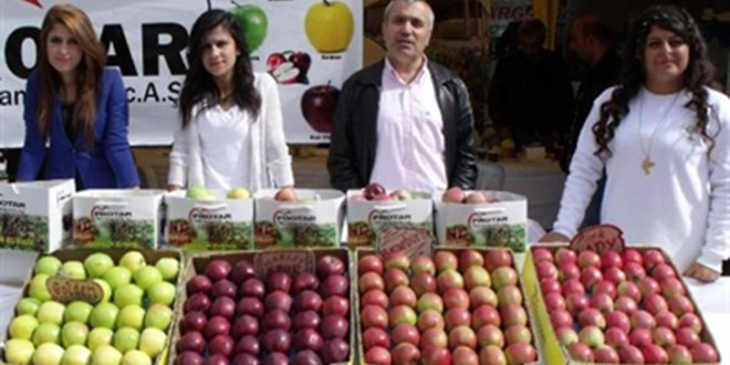 Göksun`da 3`üncü Elma Festivali