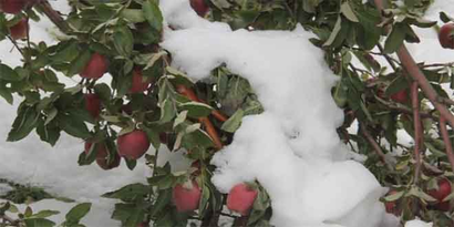 Hakkari`de Kar Yağışı 500 Bin TL`ye Mal Oldu