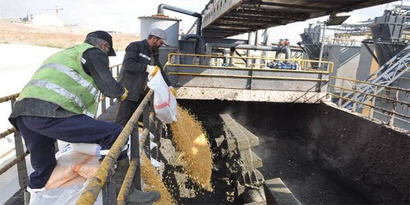 İki Ton Bozulmuş Mısır İmha Edildi