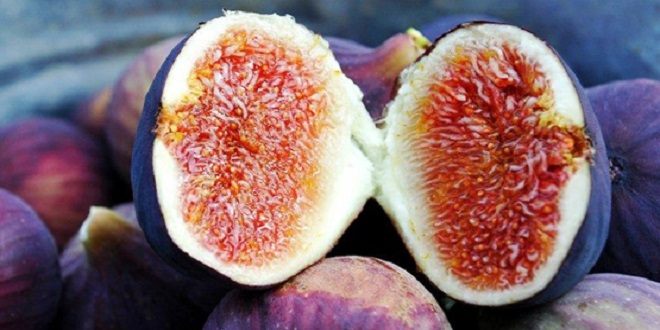 İncirde Ürün Çeşitliliği Pazar Sayısını Artırdı