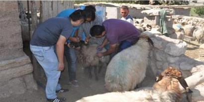 Küpleme Çalışmaları Sürüyor