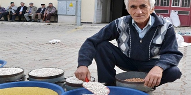 Kuru Fasulyede Rekolte Üzdü, Fiyatlar Sevindirdi
