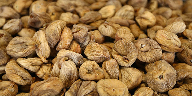 İlk Parti Kuru İncir Avrupa`ya Yola Çıktı