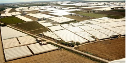 Mersin`de Örtü Altı Üretim Alanı Yüzde 48 Arttı