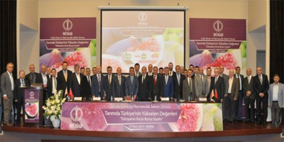 Müsiad, Bursa Siyah İncirini Mercek Altına Aldı