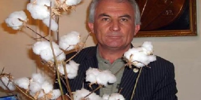 Pamuk eski günlerine geri dönüyor