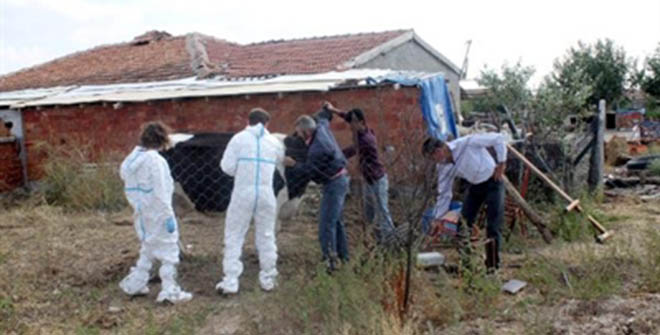 Polatlı`da 162 Büyükbaş Hayvan İtlaf Edildi