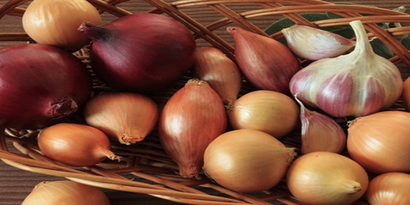 Rekolte Düştü; Soğan Hem Cebi Hem Gözü Yakacak