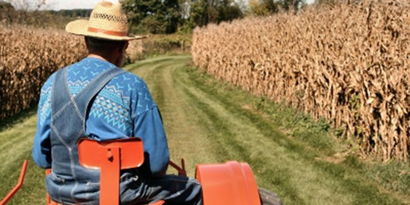 Yedekten Girdiler Desteği Aldılar