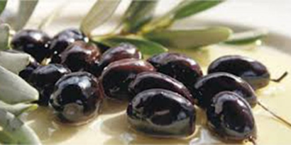 Didim`deki Zeytinin Kalitesi ve Kalibresi İyi