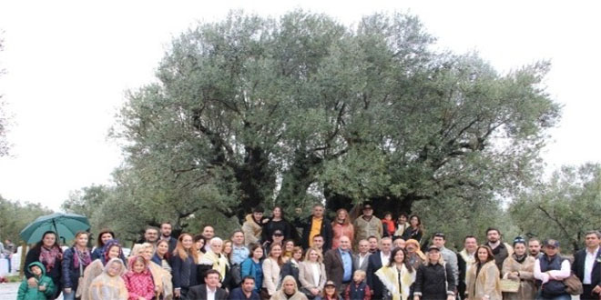 `Zeytinin Başkenti` Akhisar Hasat Şenliği ile Coştu