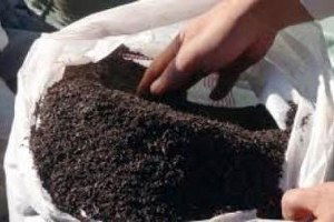 Kilis`te 180 Kilo Kaçak Çay Ele Geçirildi