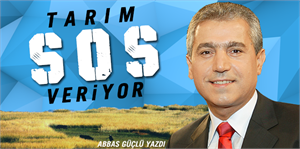 Abbas Güçlü: Tarım SOS veriyor