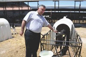 Aksaray`da Hayvancılık Gelişiyor, Üreticiler Kazanıyor