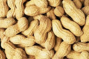 Alternatif Ürün Olarak Yetiştirilen Yer Fıstığı, Üreticinin Yüzünü Güldürdü