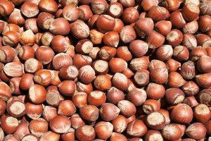 Fiskobirlik, Fındık Alımlarında 5 Bin Tonu Aştı