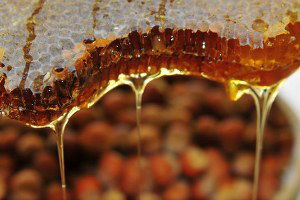 Bayramiçli Bal Üreticisi Yarışmada Derece Aldı